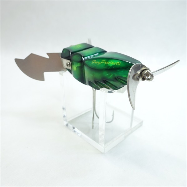 ガンディーニ．